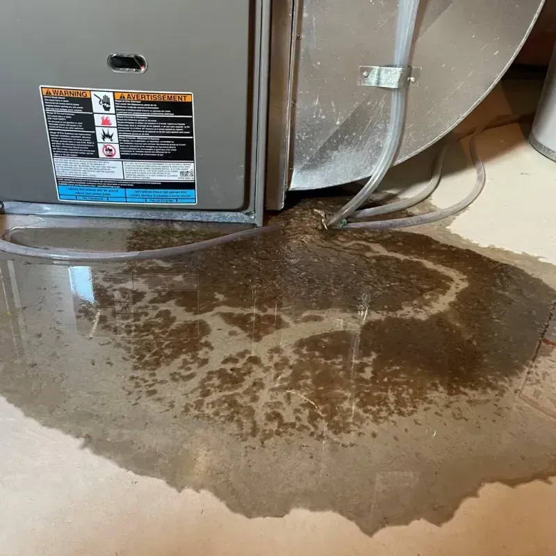 Appliance Leak Cleanup in North Madison, OH